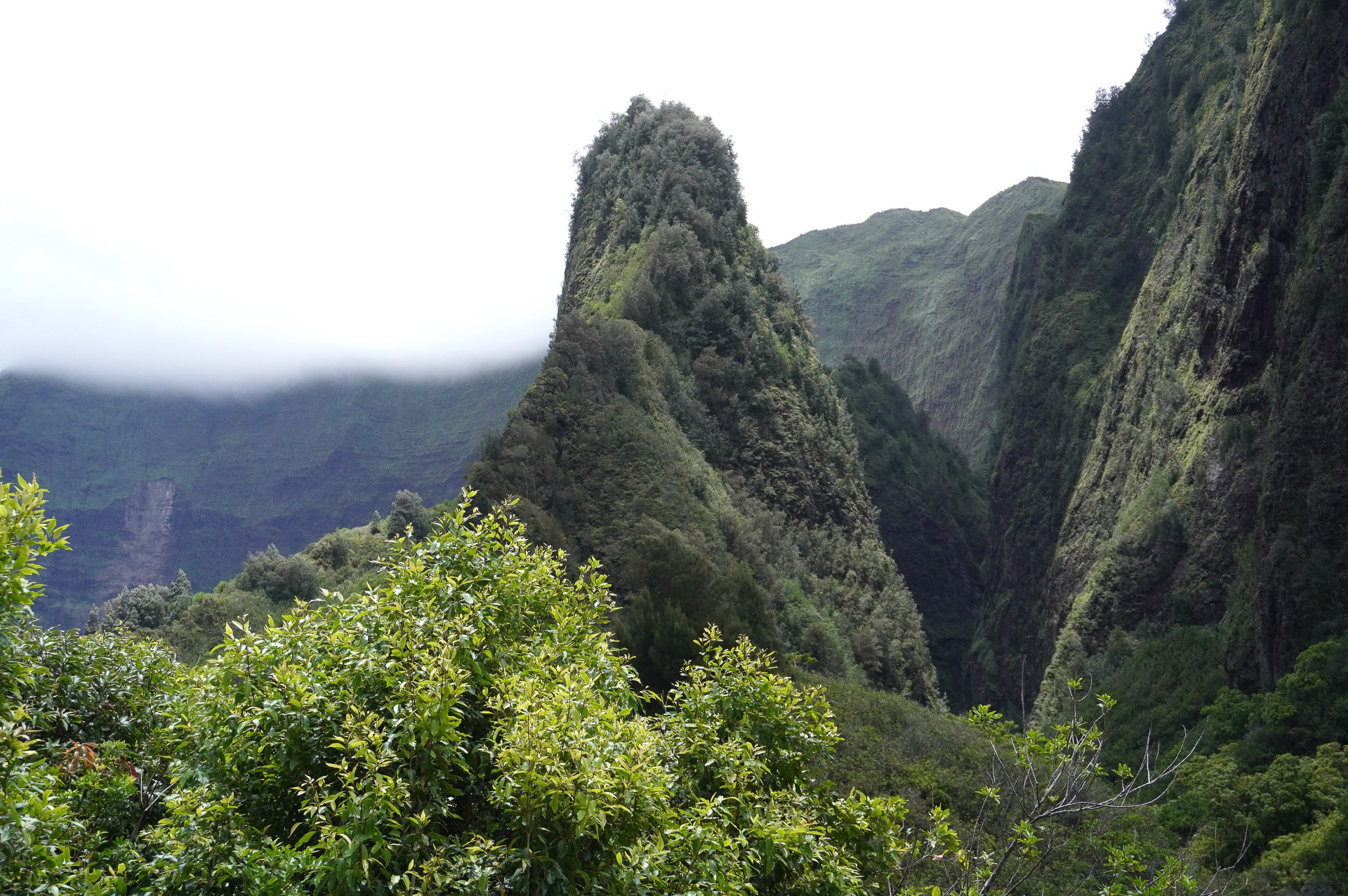 カメハメハ大王がマウイ島を征服した戦いの地、イアオ渓谷州立公園内のイアオ・ニードル