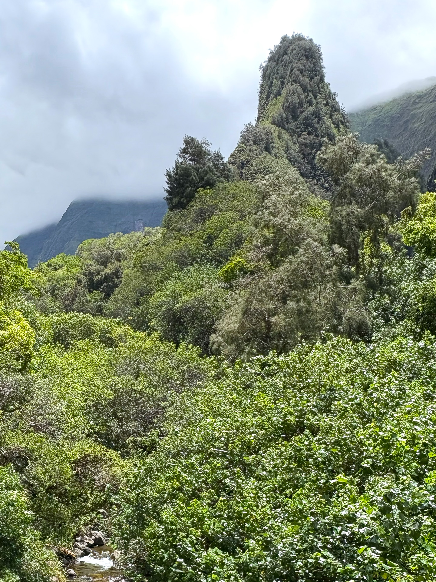 谷底から約365mのイアオ・ニードル