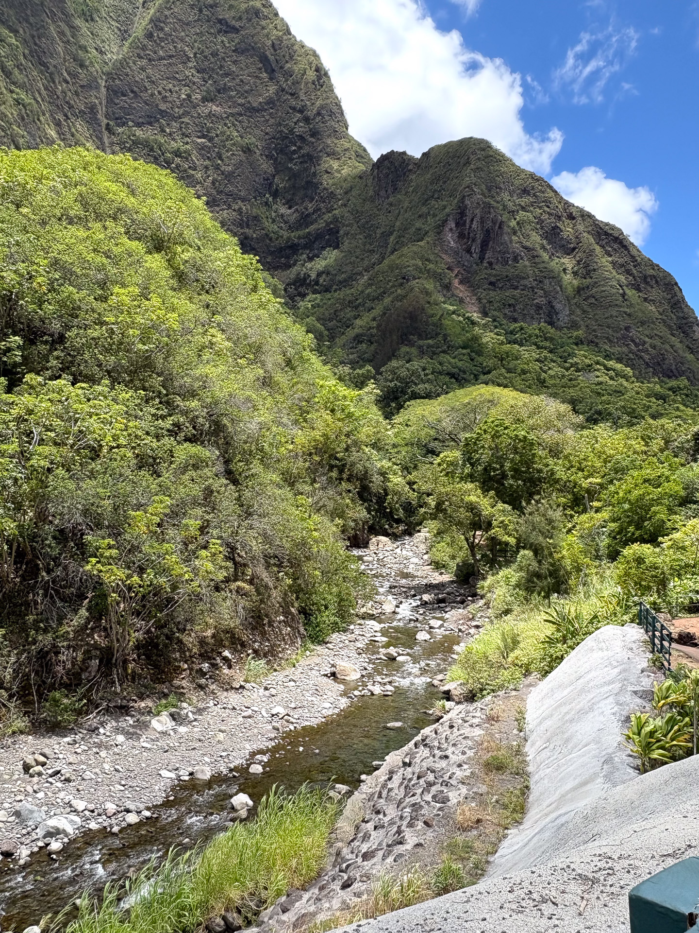 夏は「海より涼しい！」と地元に人々が涼みに来る