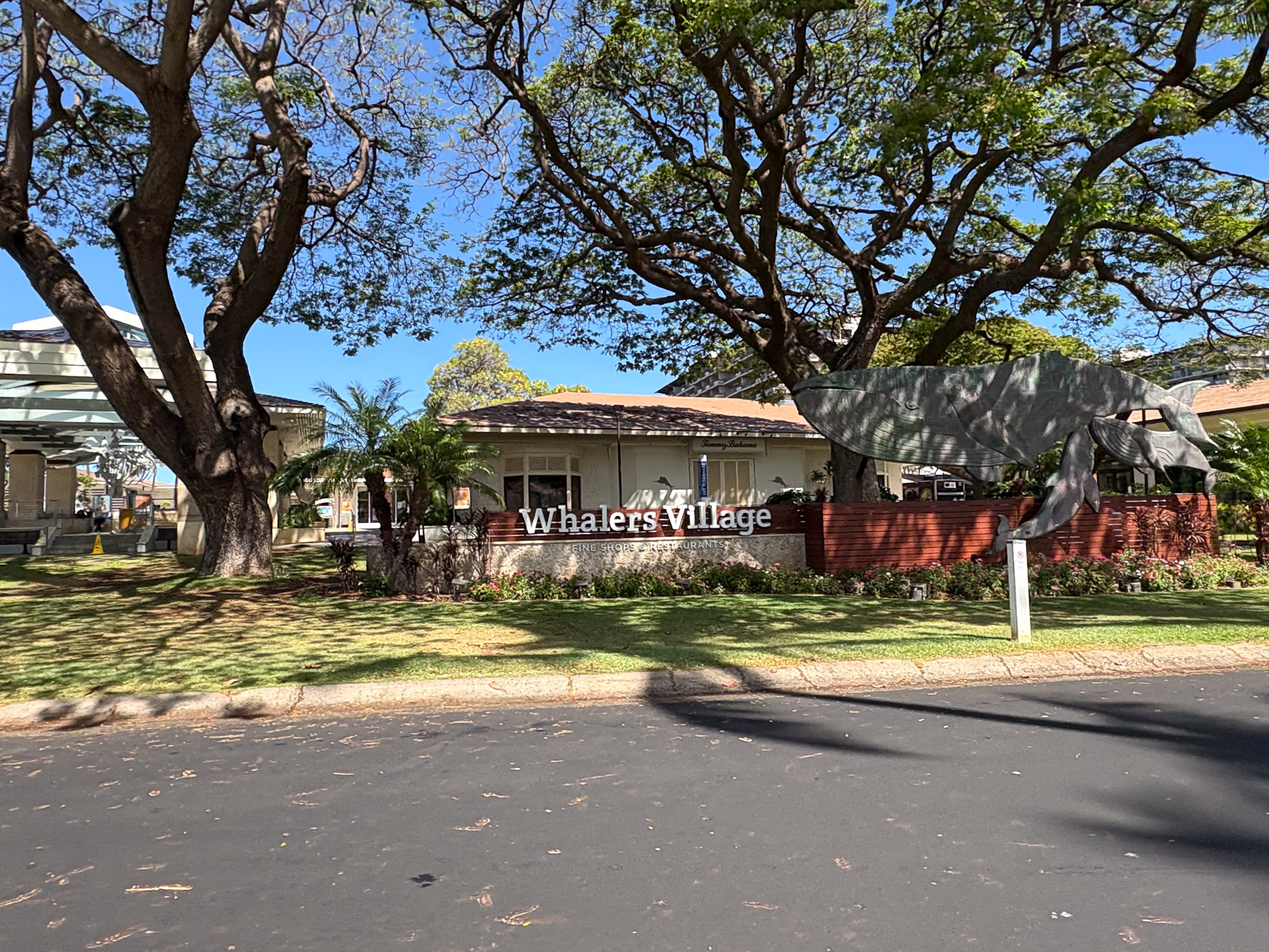 ビーチフロントに面したショッピングモール「ホエラーズ・ビレッジ」は冬にはクジラを見ることができる