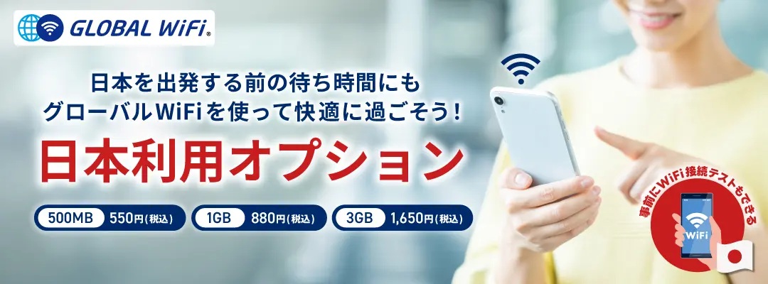 ビジョンの新サービス「日本利用オプション」