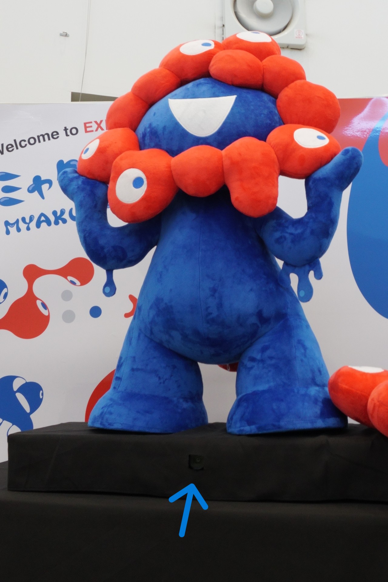 青い矢印の先にあるのが動きを認識するカメラ