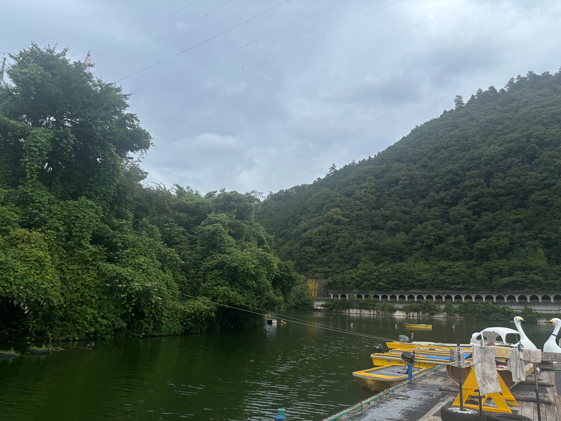 都心からもほど近い相模湖で自然を満喫しました