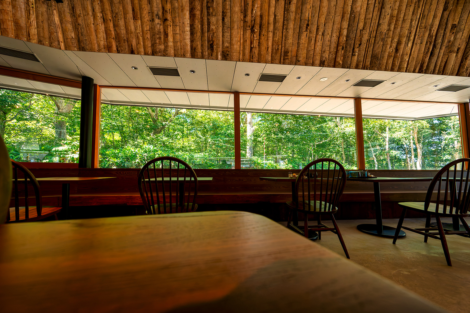 食事スペースからは目に優しい緑あふれる光景が広がる