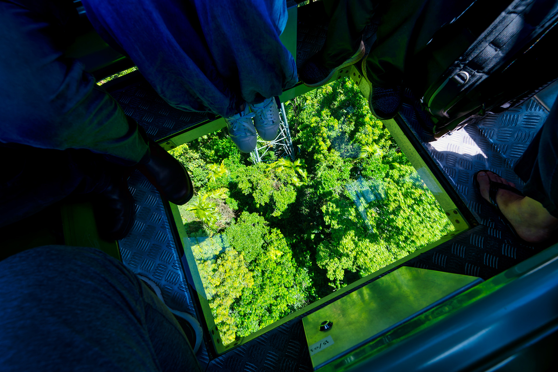 ゴンドラの足元がガラス張りになっている「ダイヤモンドビューゴンドラ」がオススメ（通常の乗車運賃にプラス料金が必要）。世界遺産にも登録されている熱帯雨林を真上から見られるのは貴重な体験となるだろう