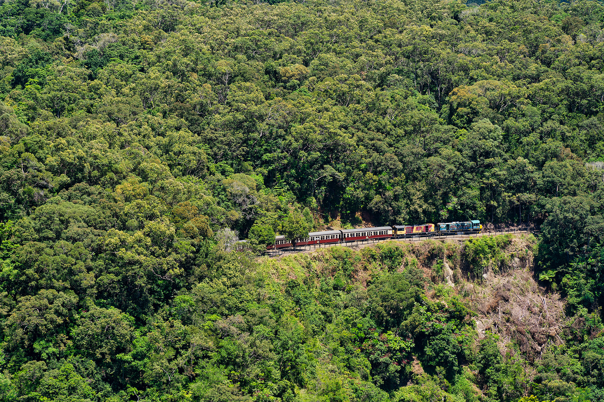 今回は乗らなかったが、キュランダ高原列車。スカイレールからも列車が走っている様子が見て取れた。キュランだからケアンズまでの37kmを片道1時間45分ほどで結ぶ。1891年に開通した歴史ある観光列車だ