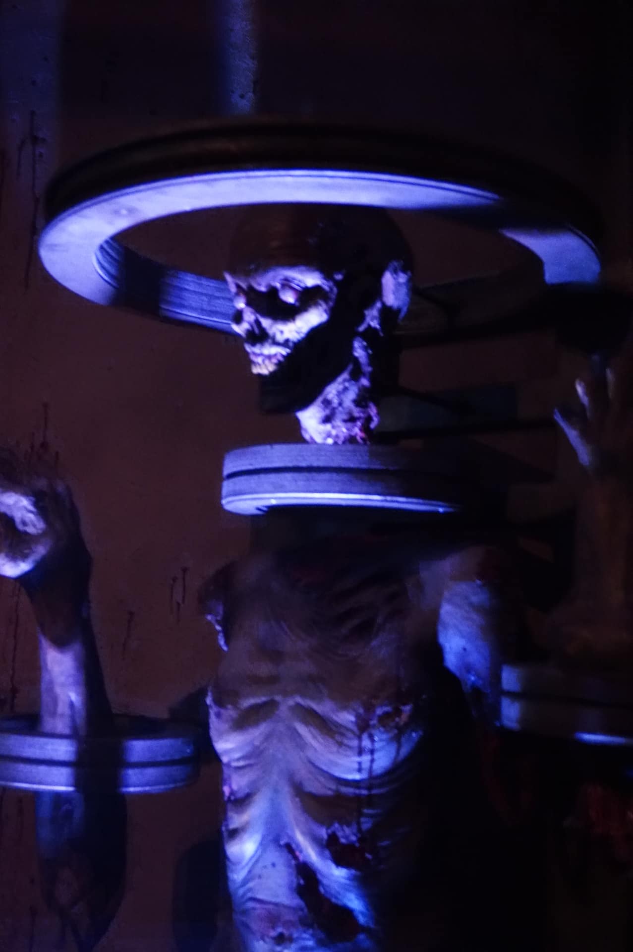 こちらはほんの序盤の展示物