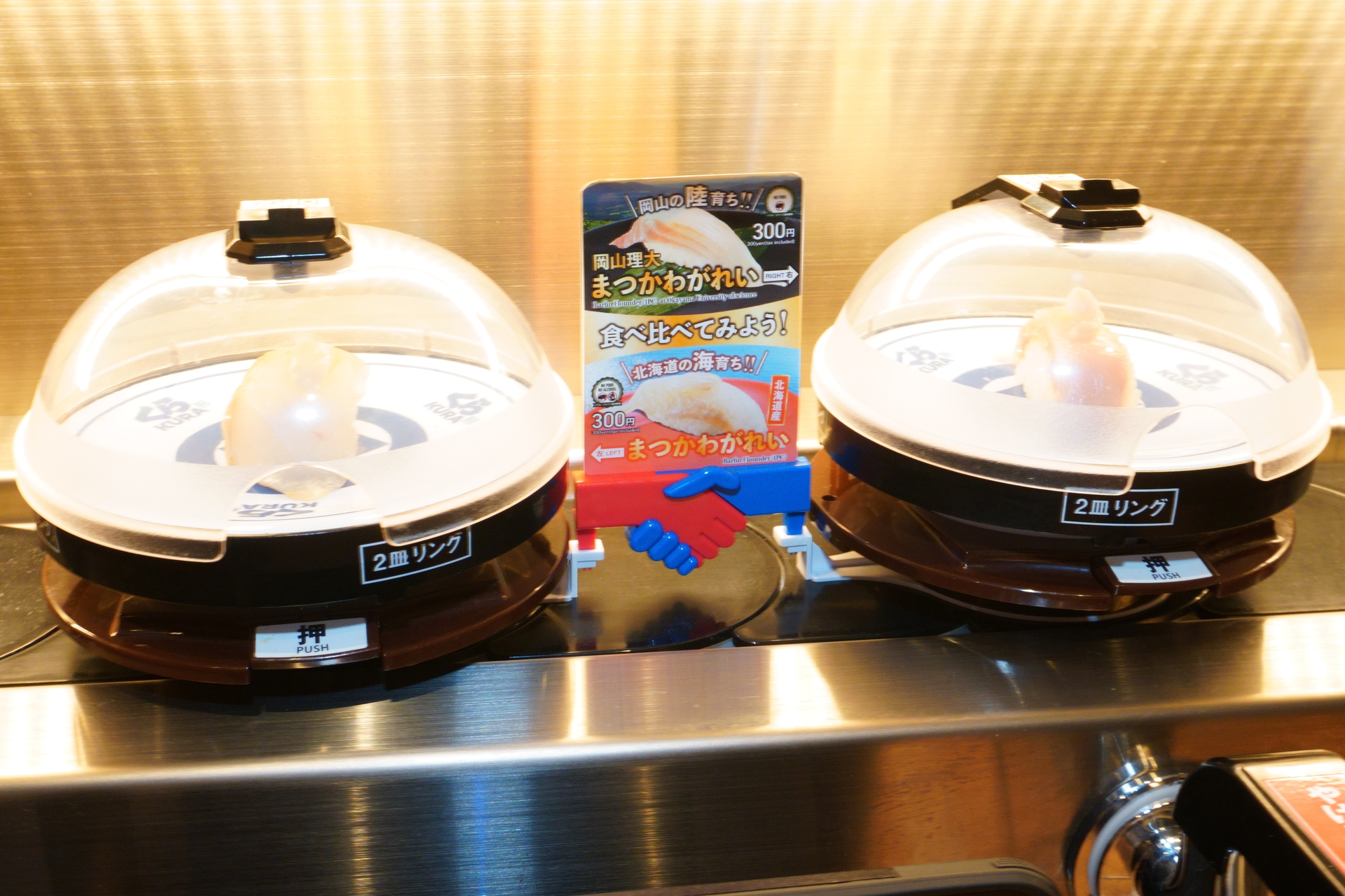 特別仕様の抗菌寿司カバー「鮮度くん」