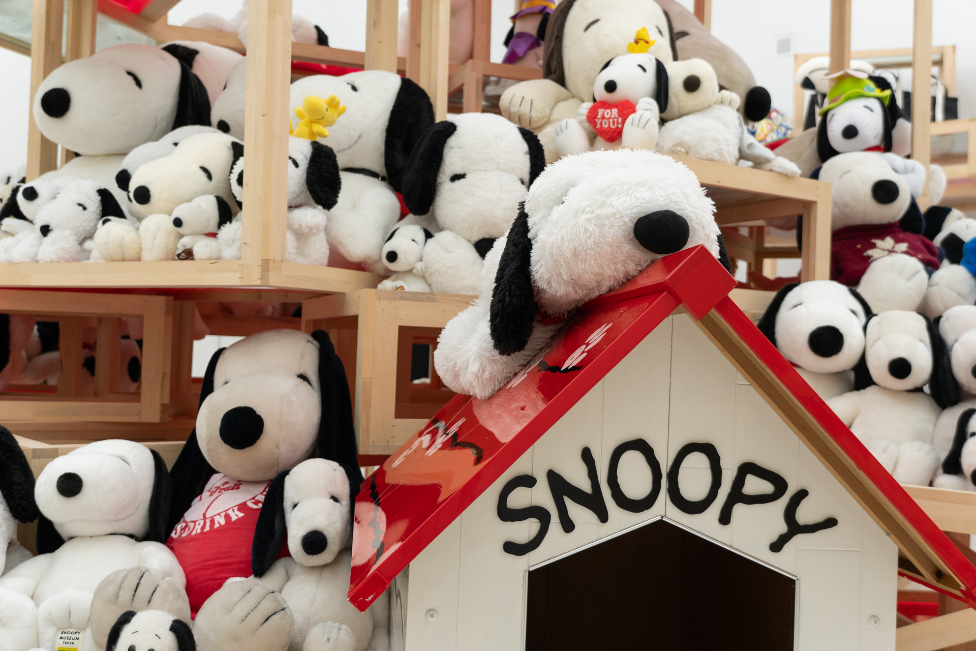 スヌーピーミュージアムで企画展「ザ・スヌーピー展 世界のともだちになった犬。」が始まる
