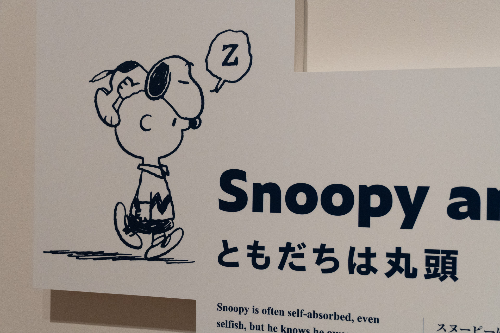 シュルツ氏による貴重な原画や、コレクターから貸し出しを受けたという古い新聞の切り抜きなどをテーマに沿って展示。連載初期からの絵柄の変遷やスヌーピー自身の変化がよく分かる