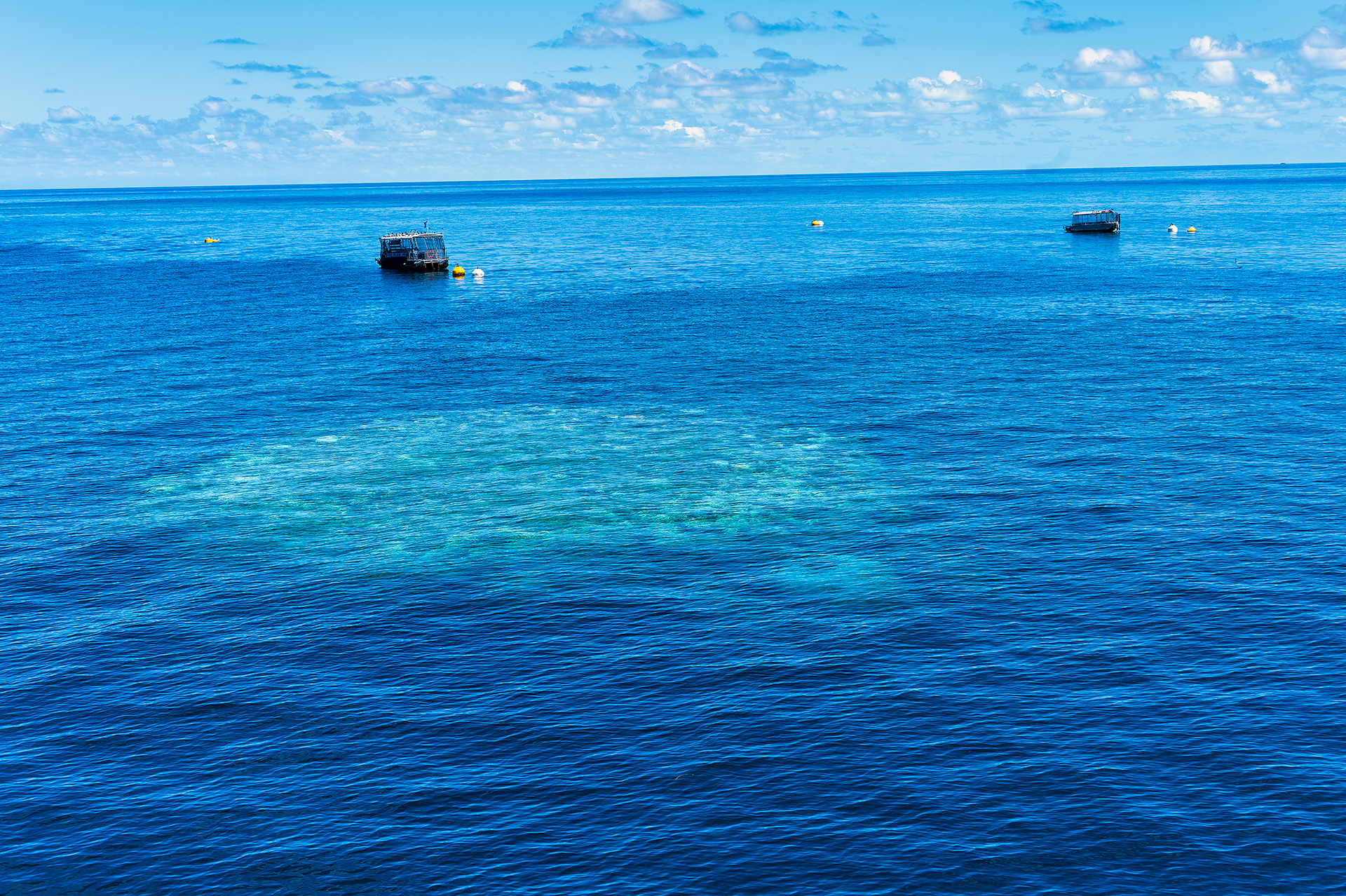 ケアンズから90分ほどのクルーズでグレートバリアリーフに到着