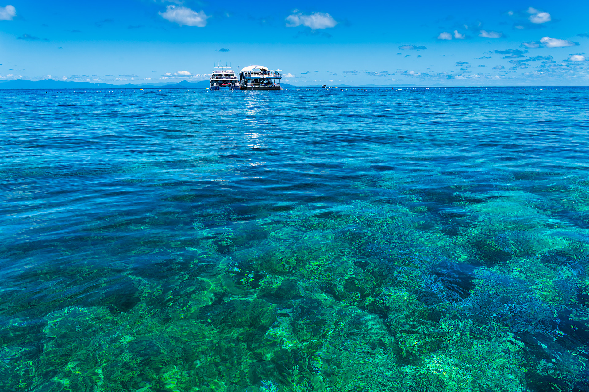 「後世にサンゴを残してゆく」エリック教授の熱い想いが伝わる。リーフマジックの取り組みによって健康を取り戻しつつサンゴも多々あるという