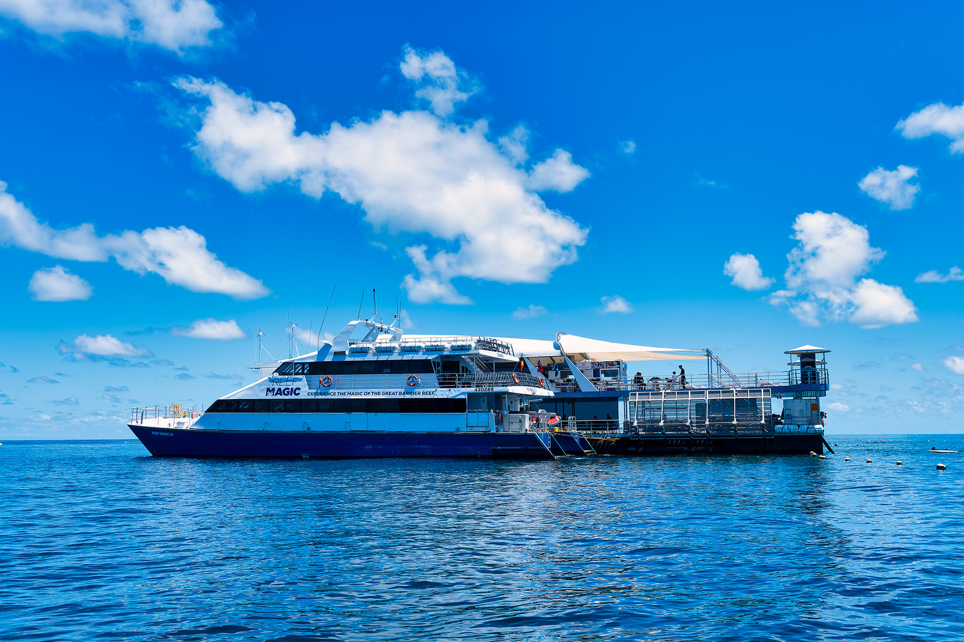 グレートバリアリーフには600種類以上のサンゴが存在している。リーフマジックは科学と文化を融合させてサンゴと守ろうとしている