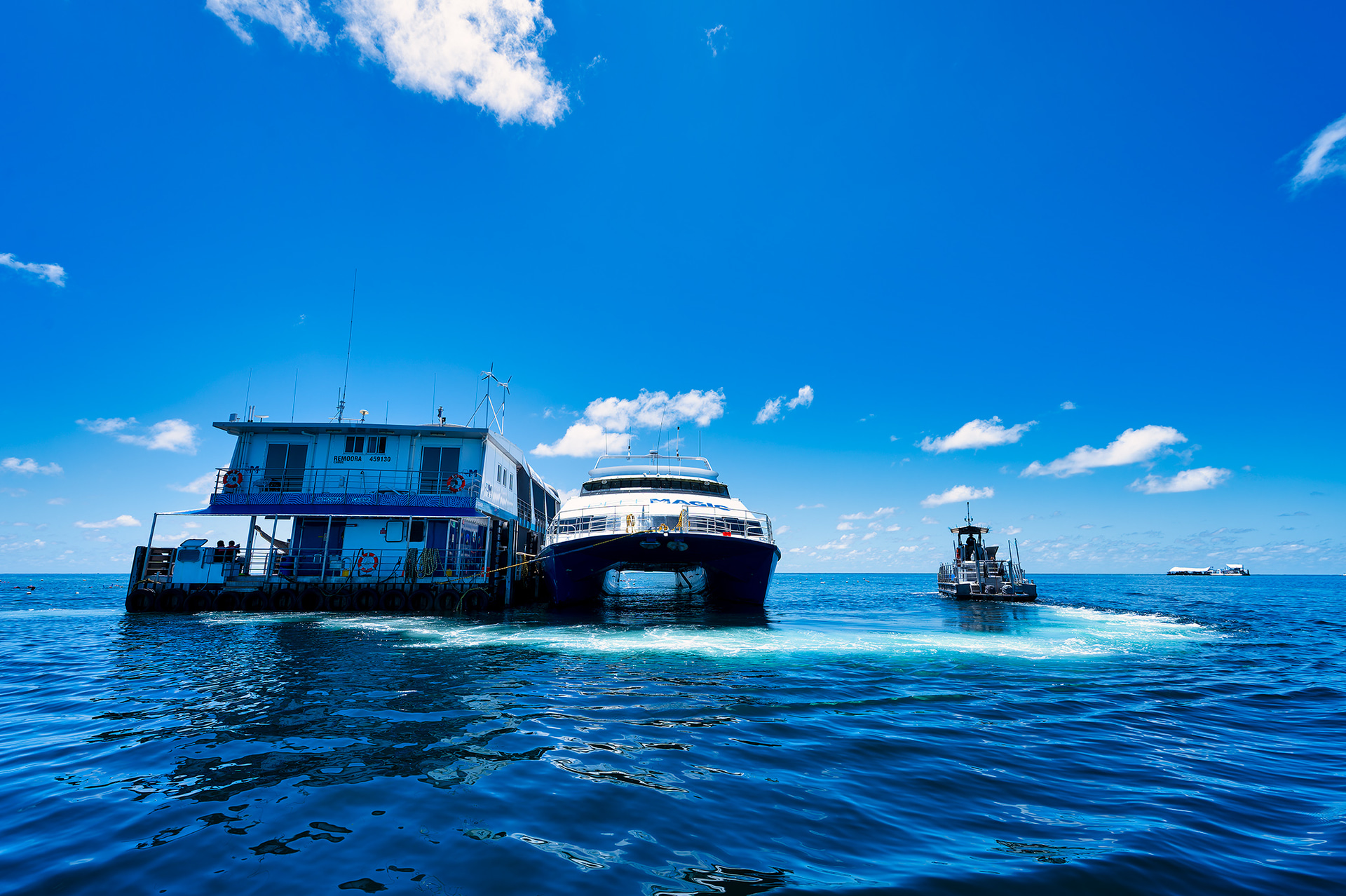 グレートバリアリーフには600種類以上のサンゴが存在している。リーフマジックは科学と文化を融合させてサンゴと守ろうとしている