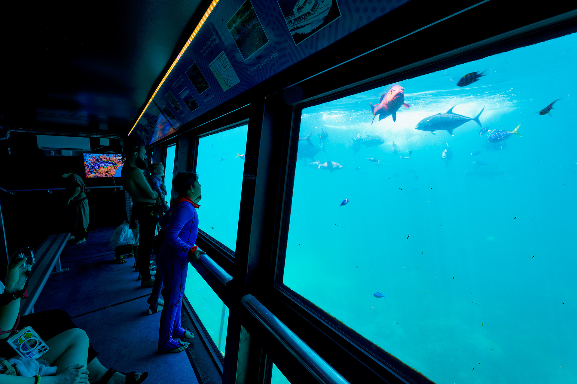 ポンツーンの先端部分にある半潜水展望室からも活き活きと泳ぐ魚たちなどを楽しむことができる