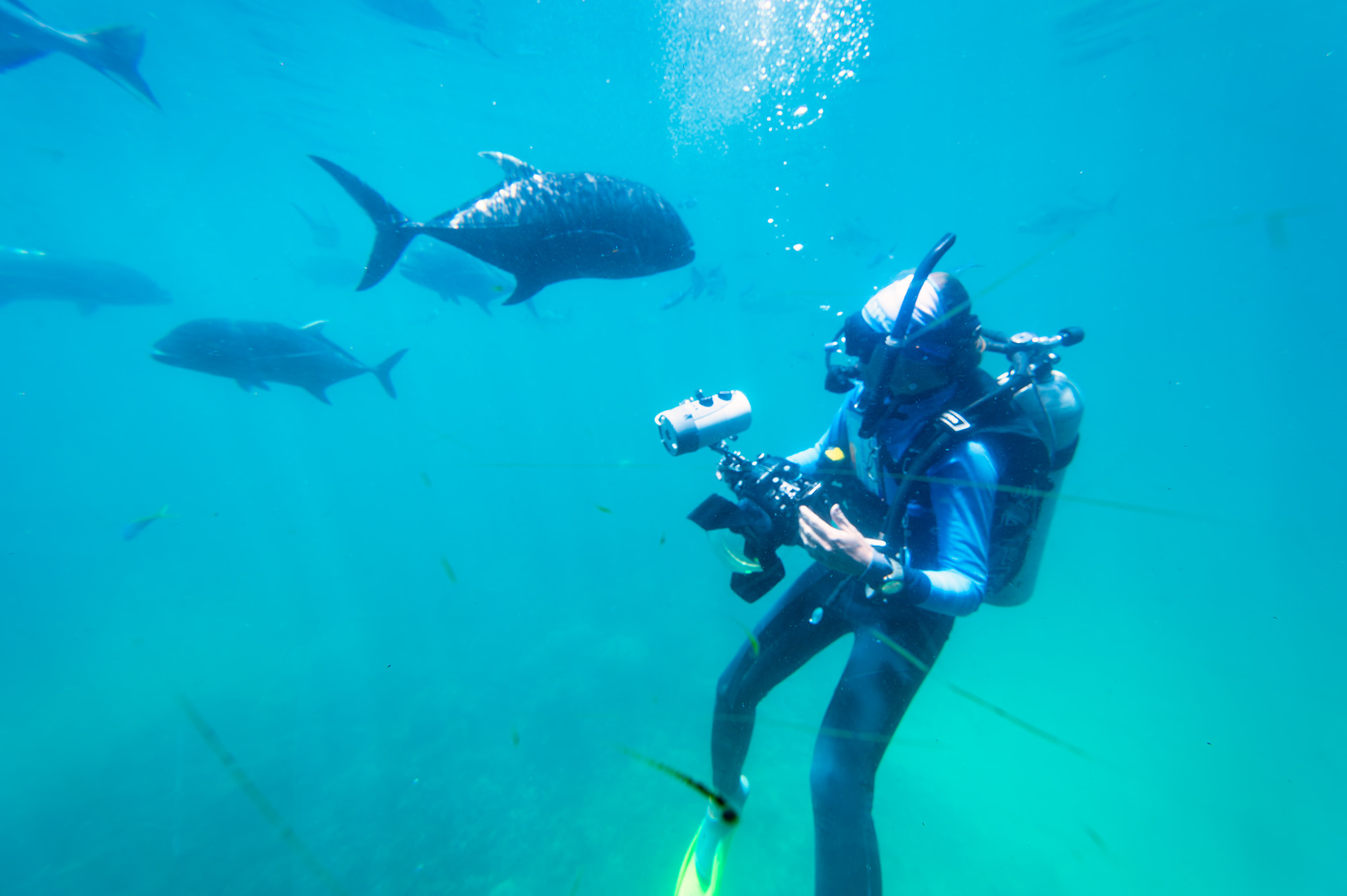 ポンツーンの先端部分にある半潜水展望室からも活き活きと泳ぐ魚たちなどを楽しむことができる