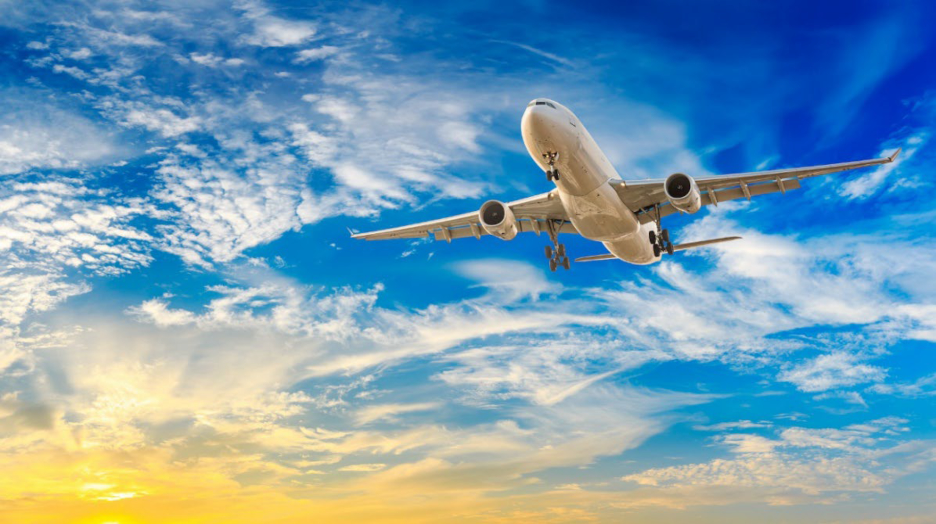 那覇と名護の2ホテルに2泊3日、航空券付きプラン発売。ジャングリア沖縄入場確約チケットも購入できる