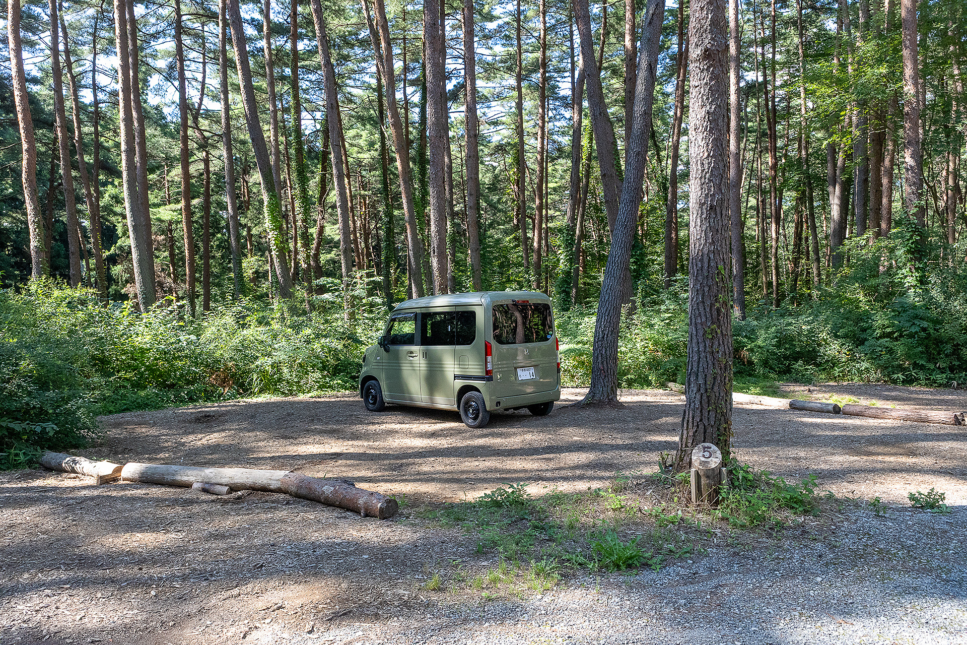 RVパークだがサイトの作りはオートキャンプサイト。テントを張って寝るのもOKだ