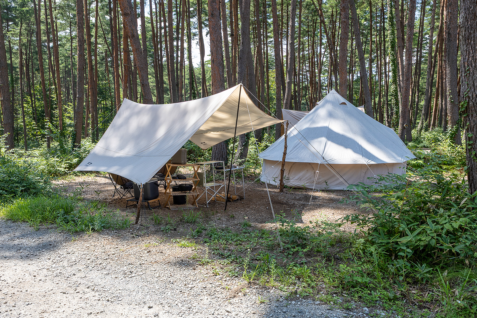 キャンプ用品のレンタルもあるので、着替えだけ用意すればキャンプを楽しむことができる。車中泊ではなくテントに泊まってみたい場合は、このサービスを利用すればいつもと違う夜を過ごせるだろう