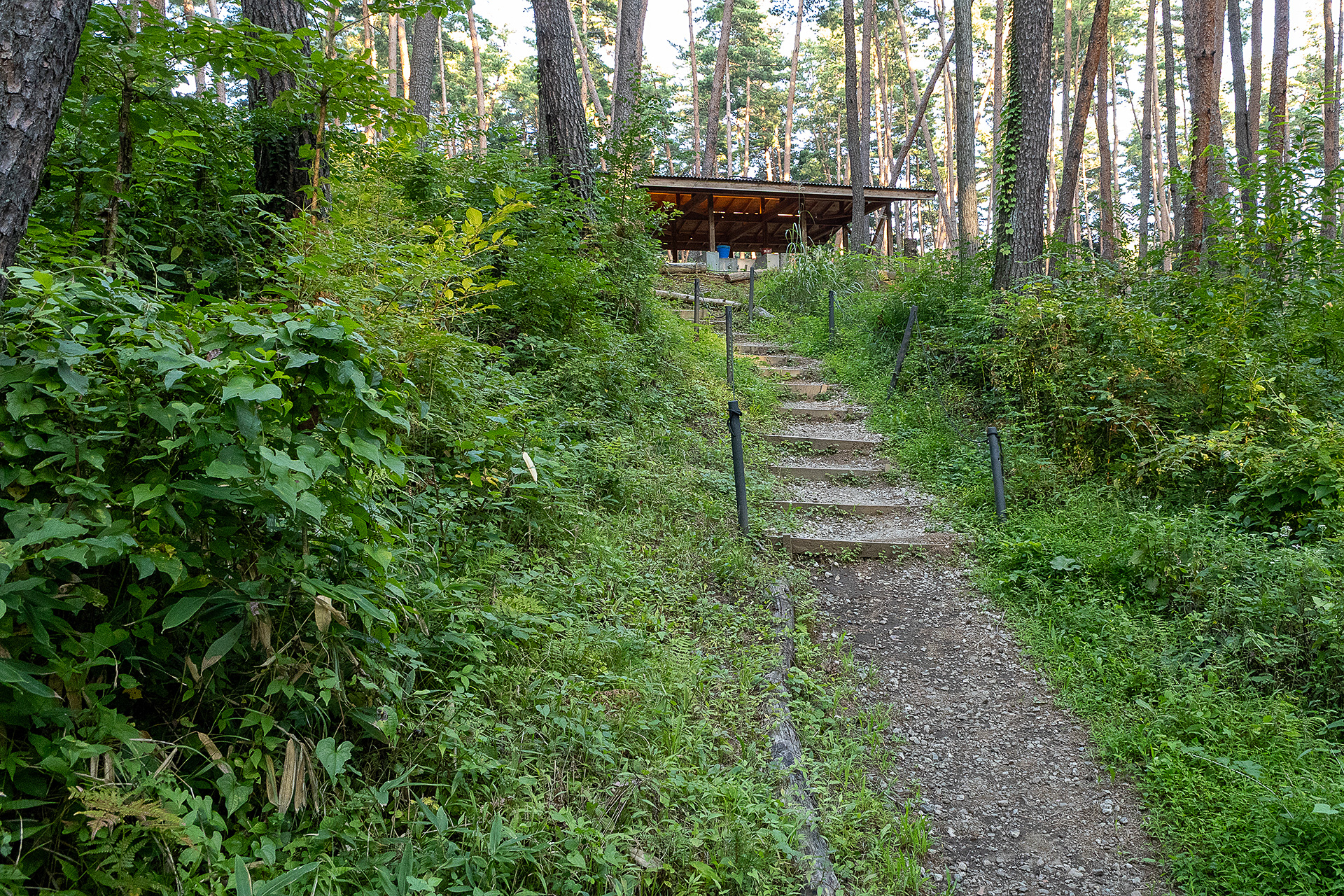 下段エリアの利用者もこの炊事棟、トイレを使用するが、高低差があるので行き来には階段を使う。照明がなかったので、夜は足元を照らすライトが要る
