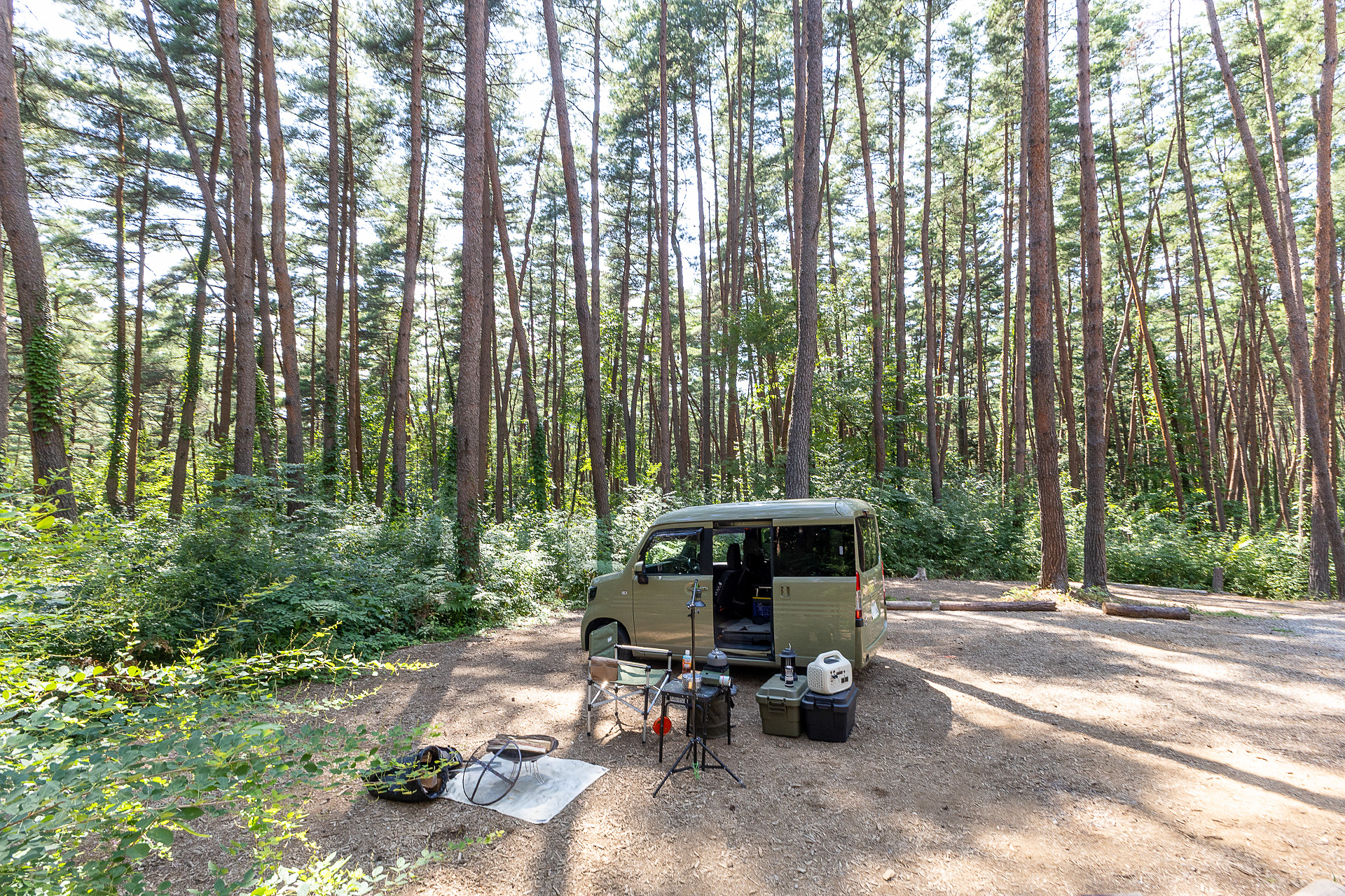 各サイトの面積は約70～140m<span class="em sup">2</span>だが、自然の地形を活かしているので形状はまちまち。写真は135m<span class="em sup">2</span>のF5サイト。周辺の木はすべて赤松