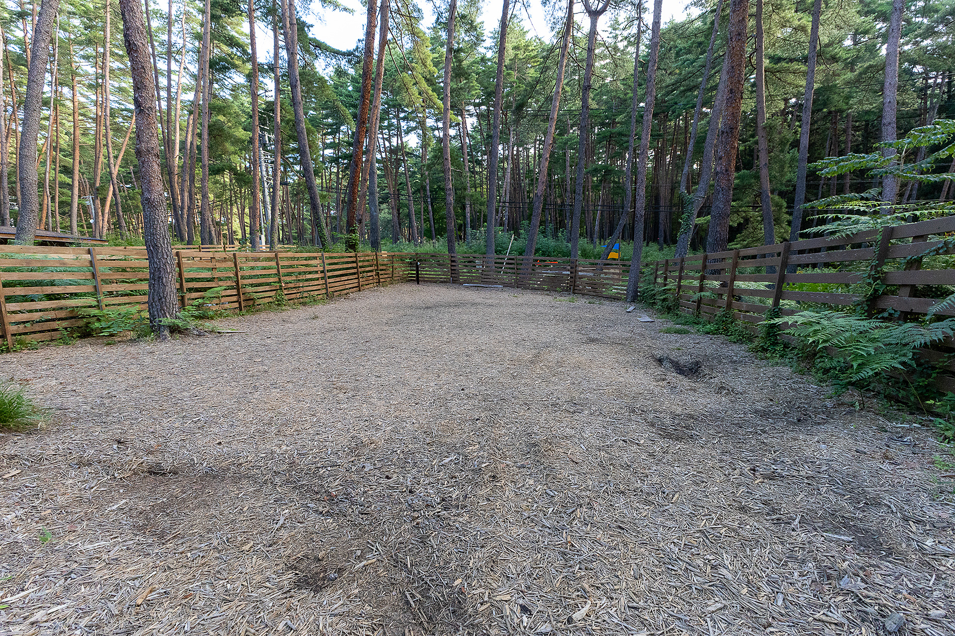 D1、D2、D3のサイトは正面道路に面している。交通量は多くないが道路脇ということが気になるのであれば、そのほかのサイトを選ぶといい。写真はD2サイト。ドッグサイトうち電源があるのはD1～D3となっている