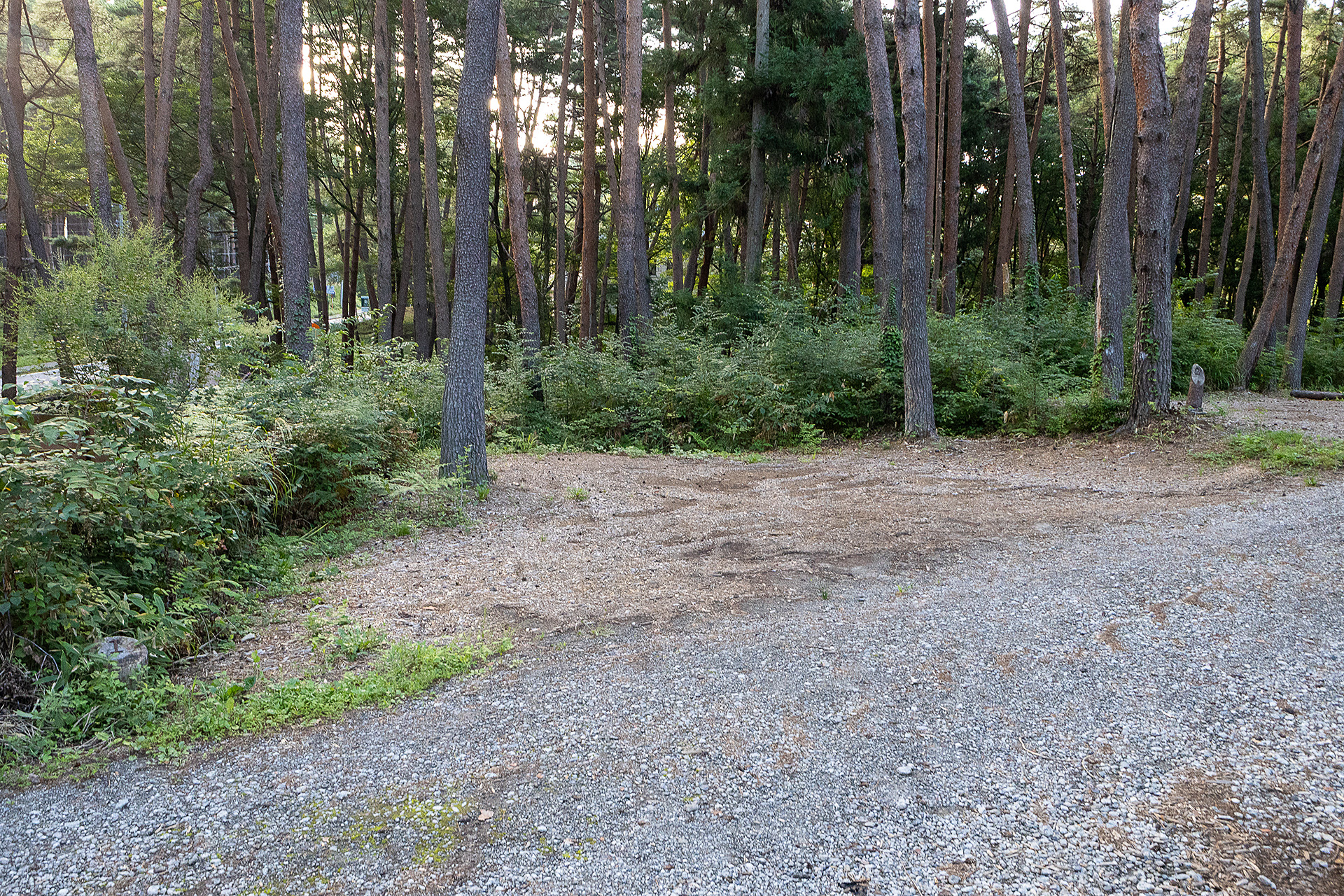 炊事棟のある上段エリアは通路に沿って電源なしサイトが並んでいる。形状や広さはまちまちなので、ここはサイトごとの写真を載せておこう。こちらはF1サイト