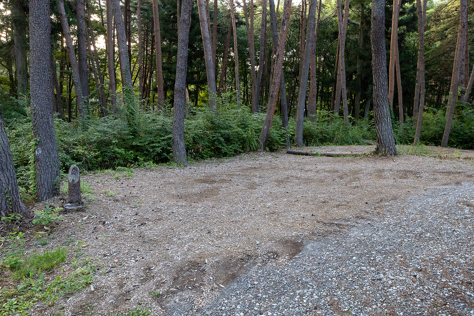 こちらがF2サイト。通路側にクルマを止めるとサイト内のプライバシー感は高まる