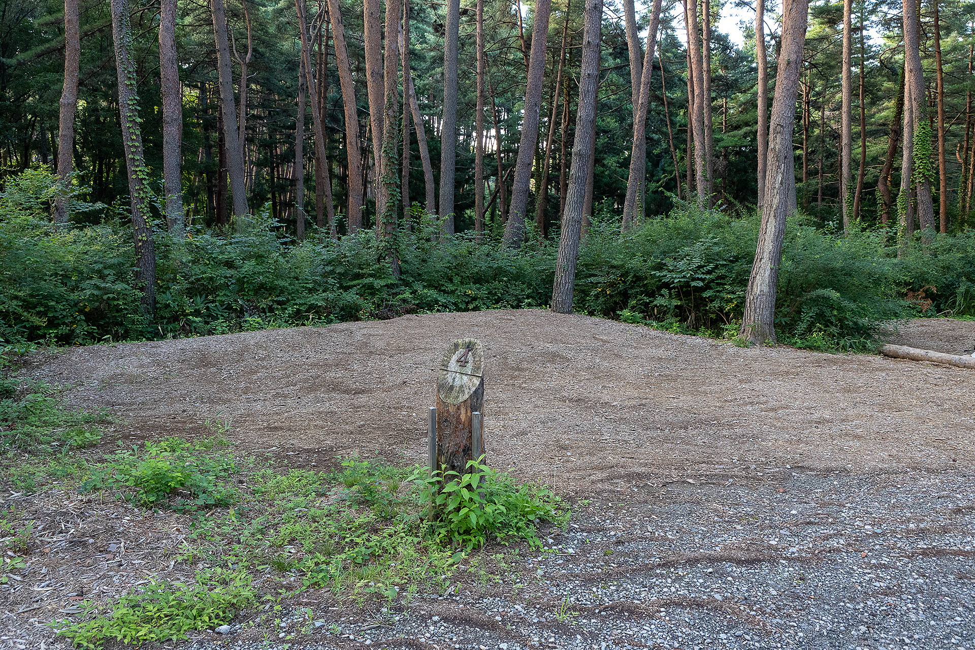 四角い形状で使いやすそうなF4サイト