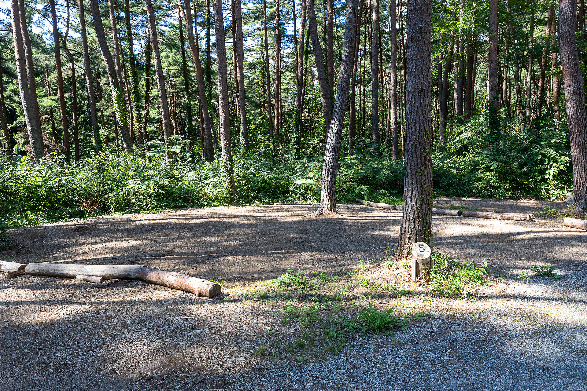 F5サイト。今回はこちらを利用させてもらった