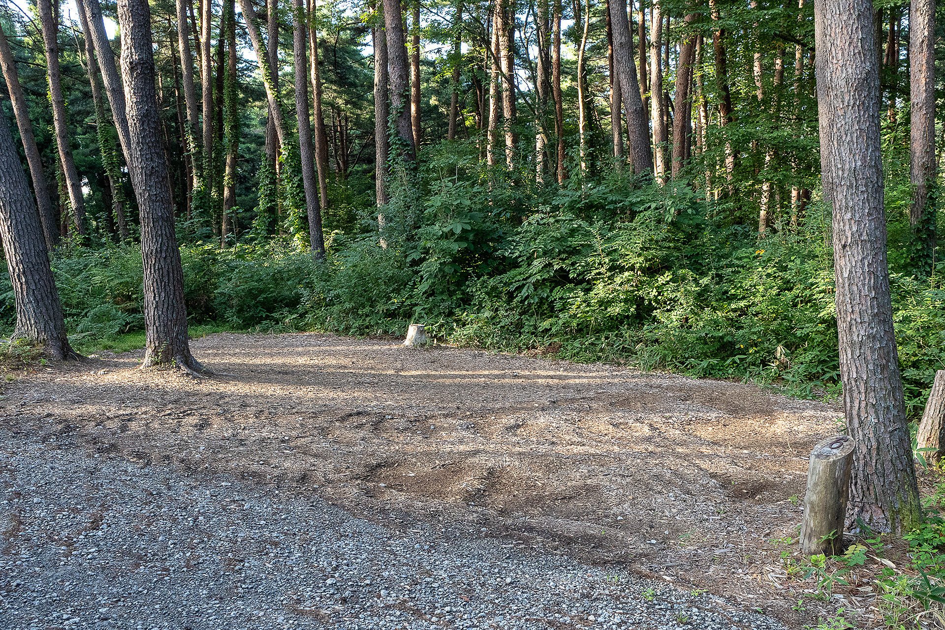 F6サイト。上段エリアの電源なしサイトは以上だ