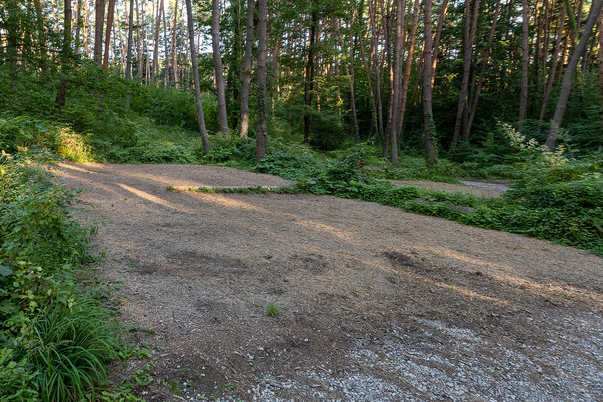 ここはF15サイト。下段のサイトで電源付きはF12とF14だが、どちらもサイト内に段差がある