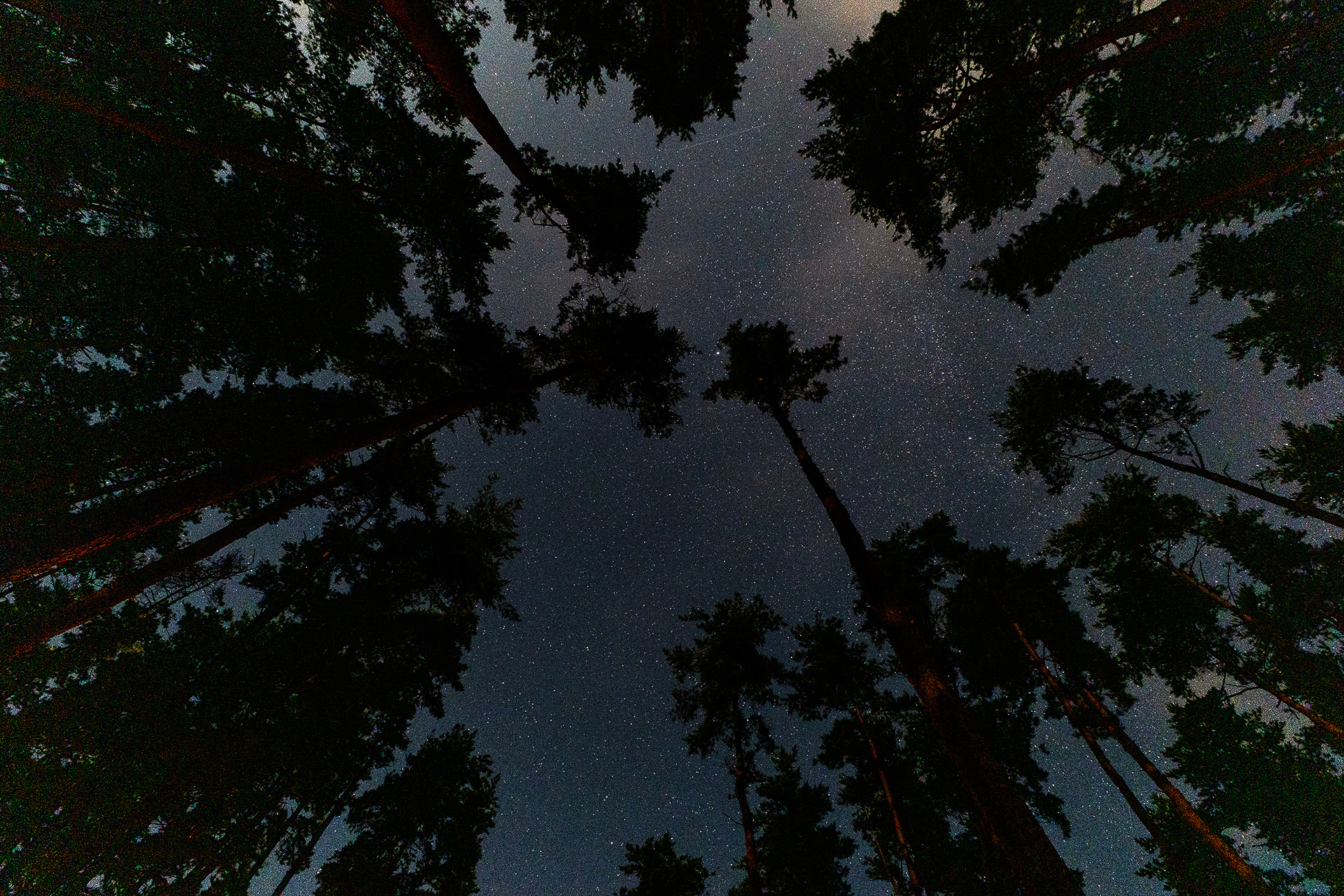 背の高い木がまわりを囲んでいるが空は見えるので星空を撮ってみた。まわりに明るさを出すような施設が少ないので、星空は見やすい環境