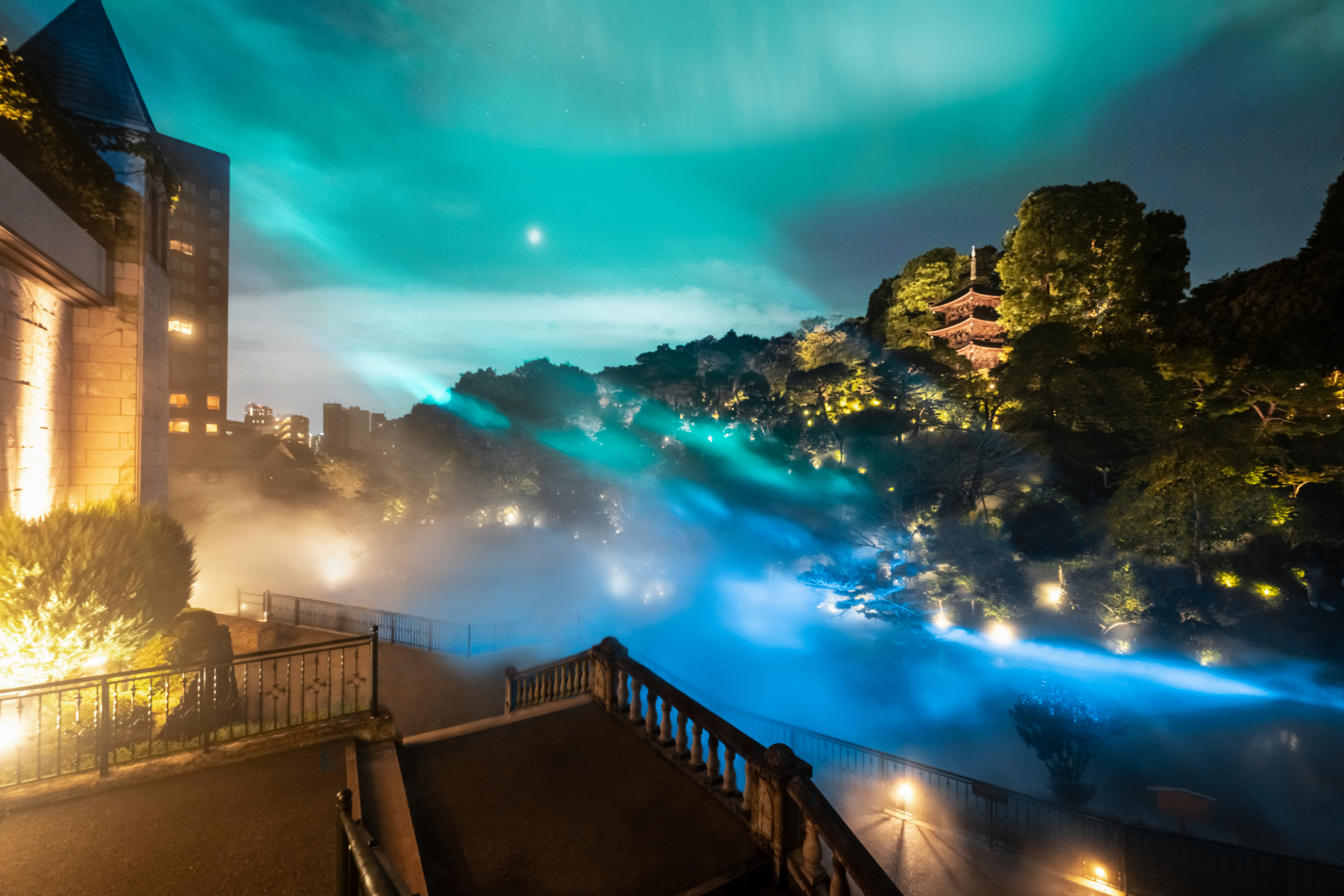 冬の庭園で行なう「森のオーロラ」演出