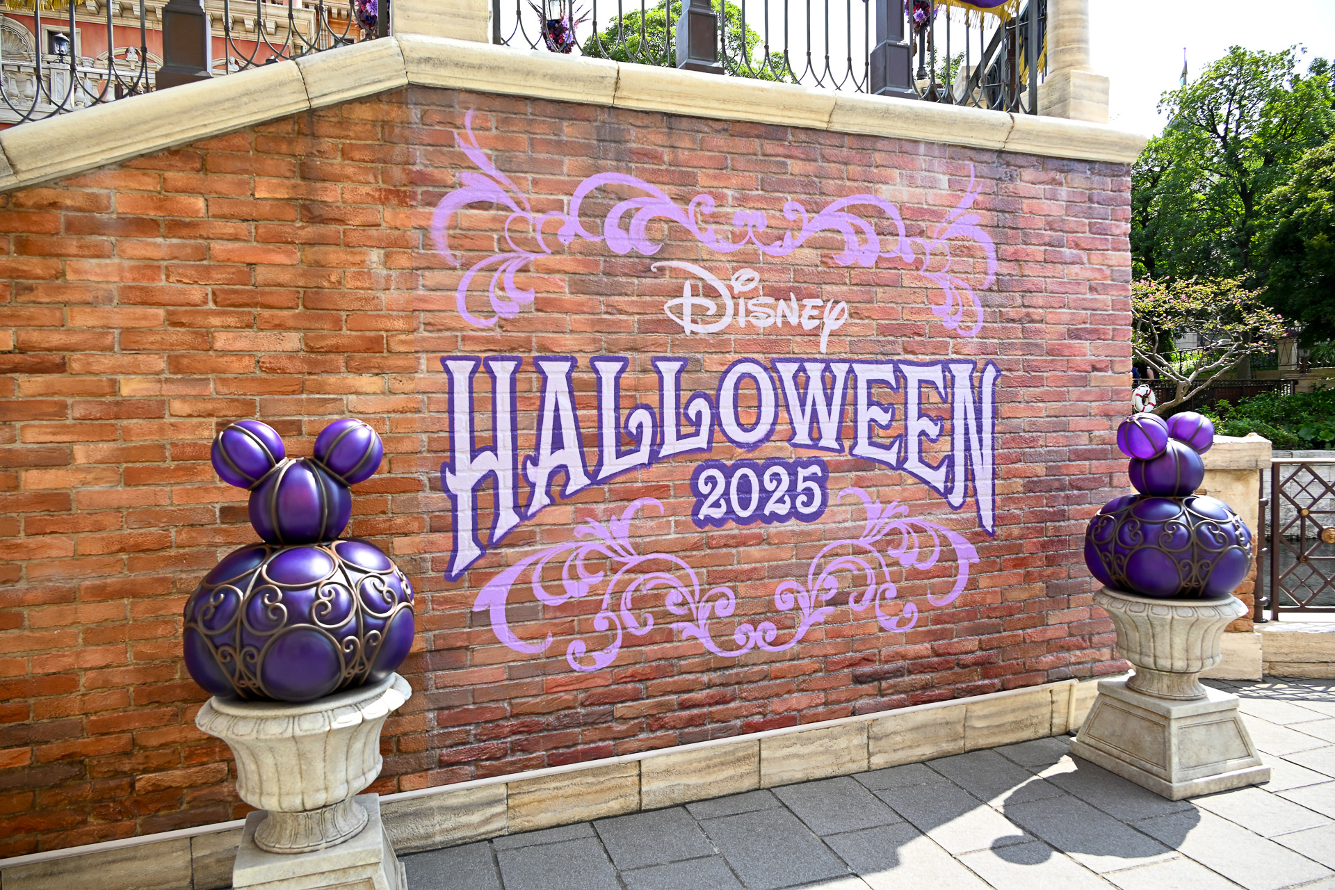 ウォールをバックにSNSにもぴったりな1枚が撮れるんです