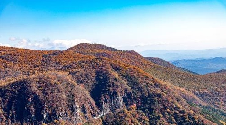 奥日光の紅葉のイメージ