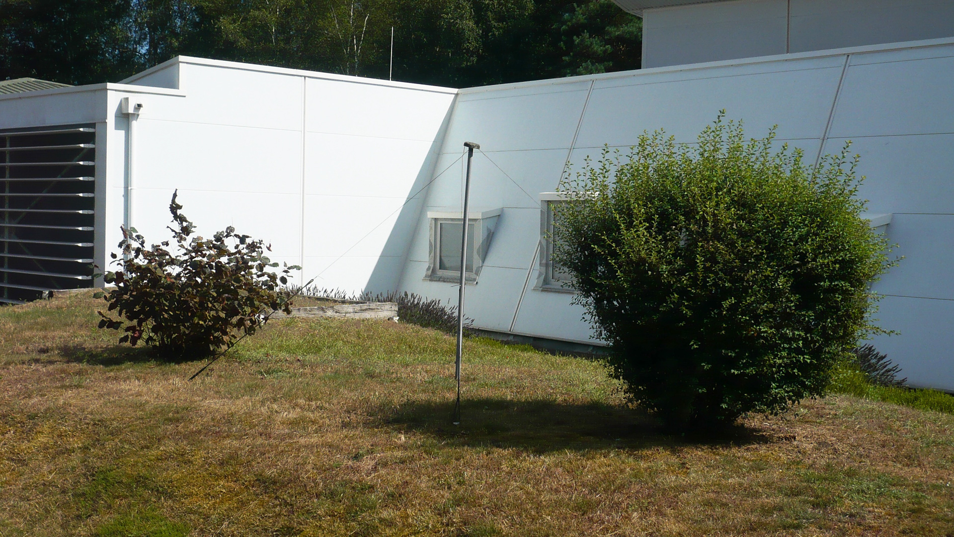 LOFARのアンテナ