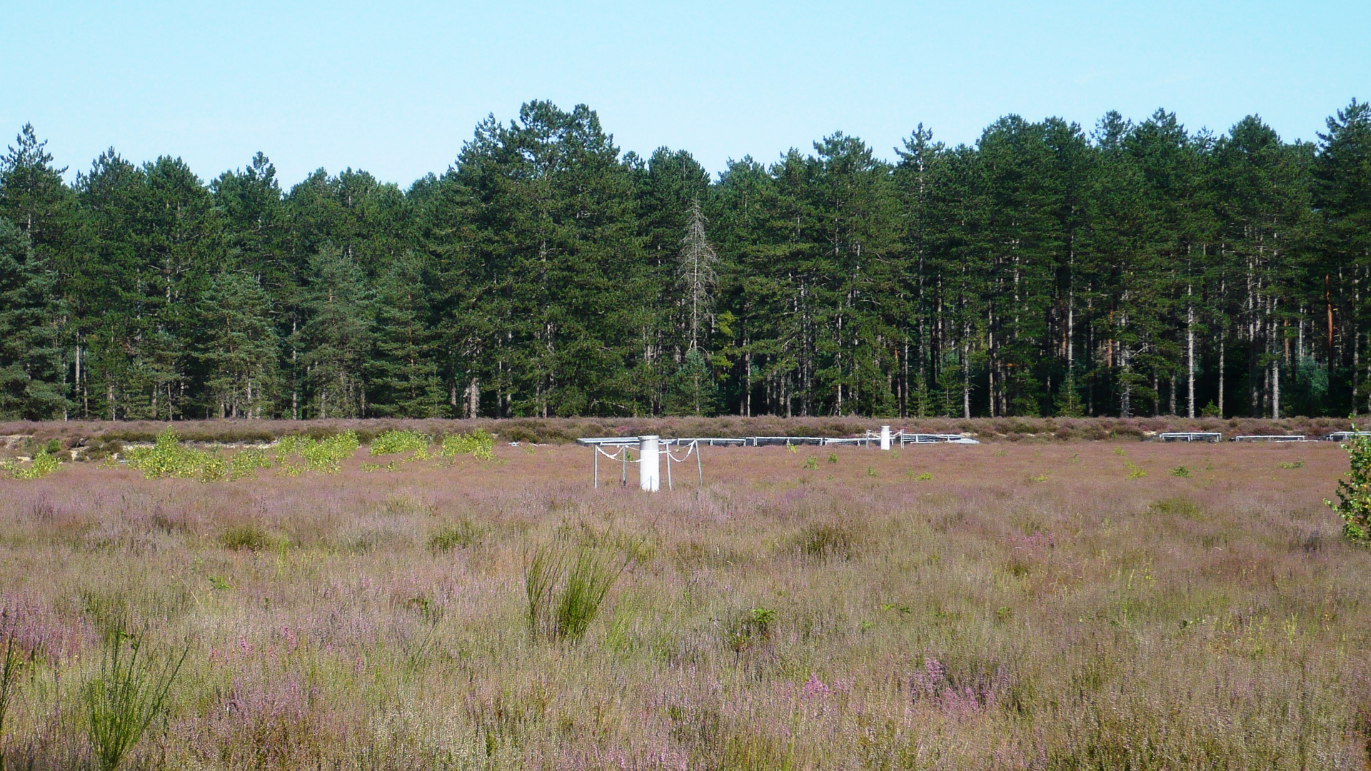 低周波アンテナ群の一部