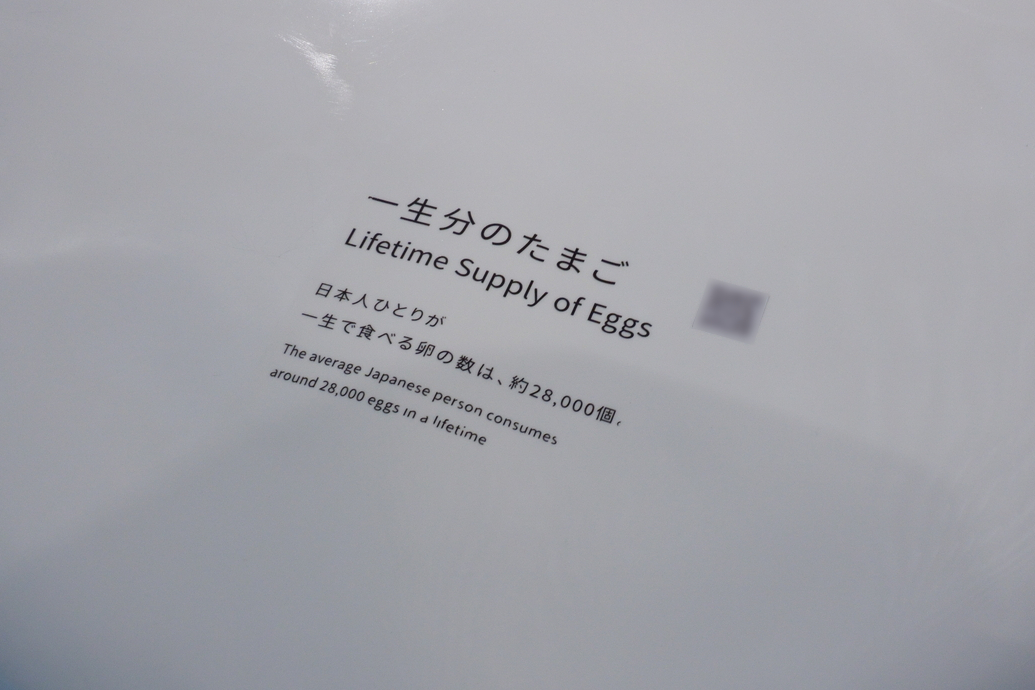 施設内に掲出されているQRコードから特設サイト「EARTH MART＋」にアクセスすることで、音声ガイドや解説も楽しめる。各展示のデータまでかなり細かく掲載しているので、「混雑で一部の展示が見られなかった……」という人も安心