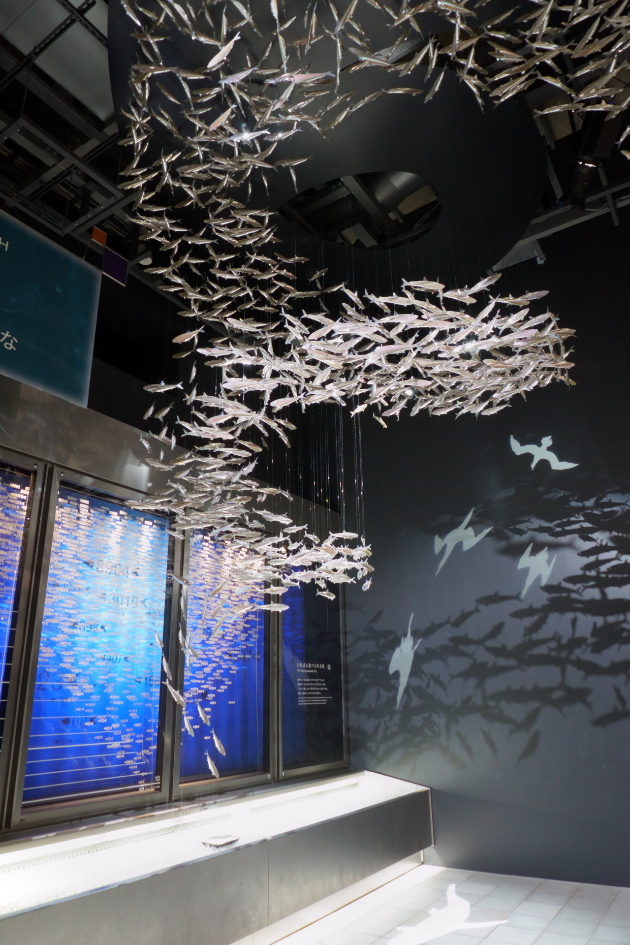 マイワシは海の生き物だけでなく、豚や養殖魚の餌にもなっていることから「地球でいちばん食べられる魚」とのこと
