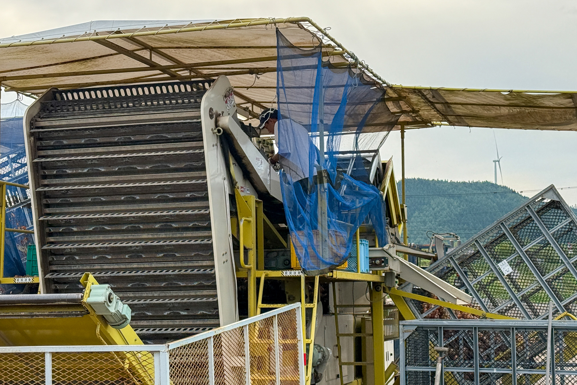 3軒の農家さんが子供たちを受け入れてくれた
