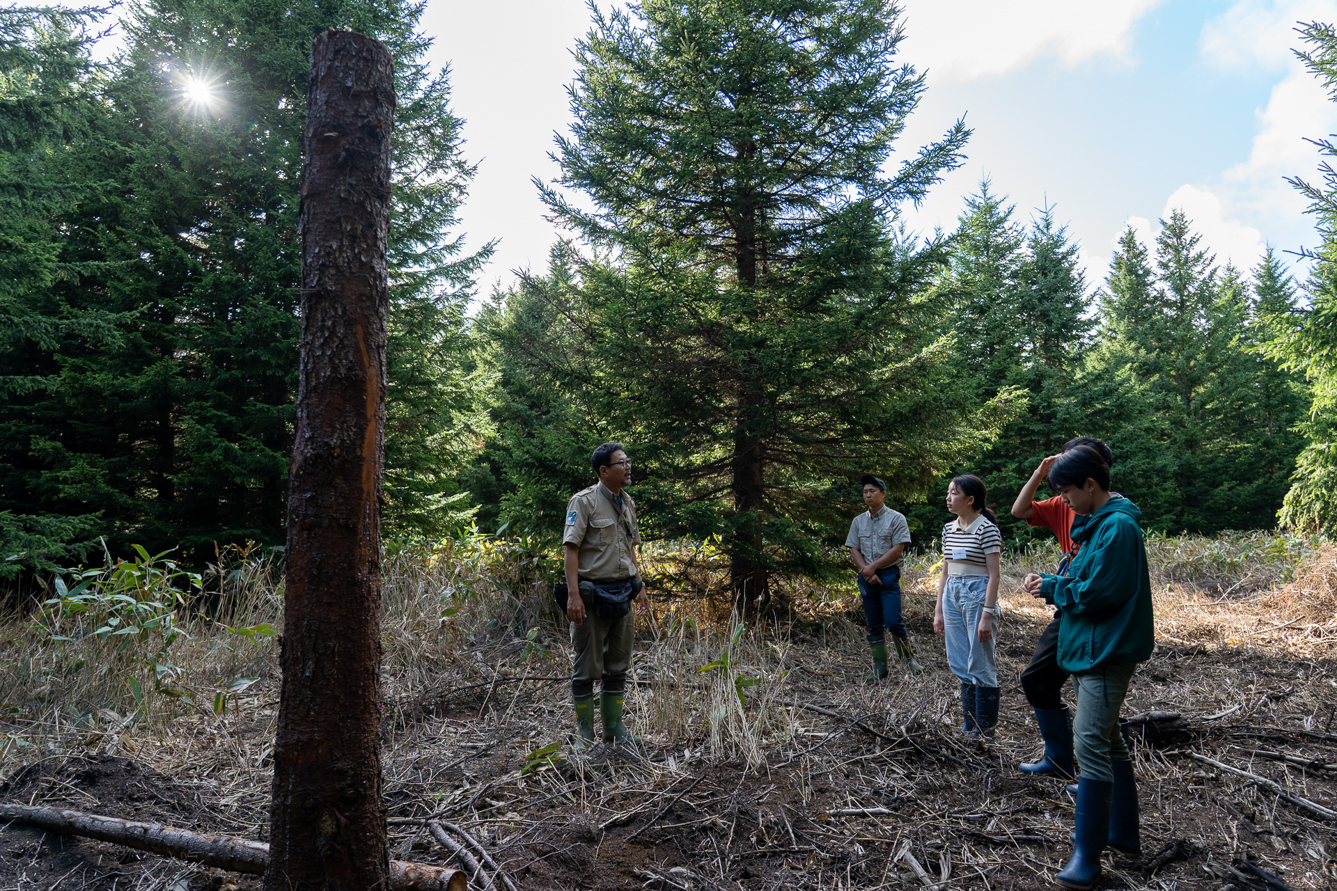 最先端の森再生の取り組みを実践している場所を見学