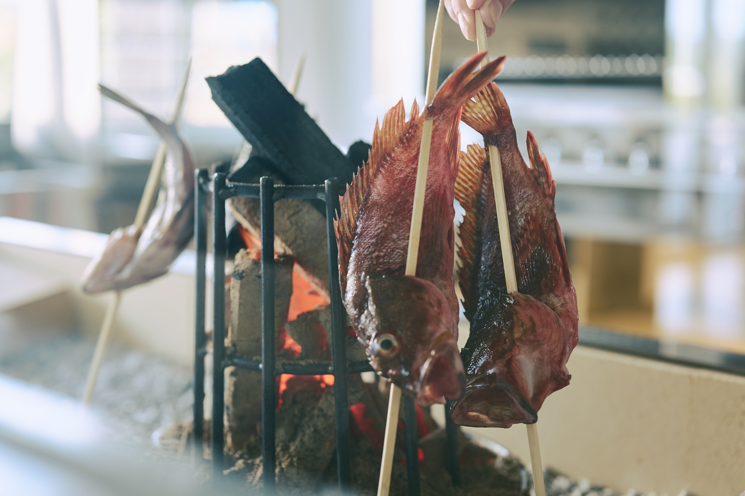 旬の海鮮や巾着ご飯、鯛そうめんなどの郷土料理が楽しめる