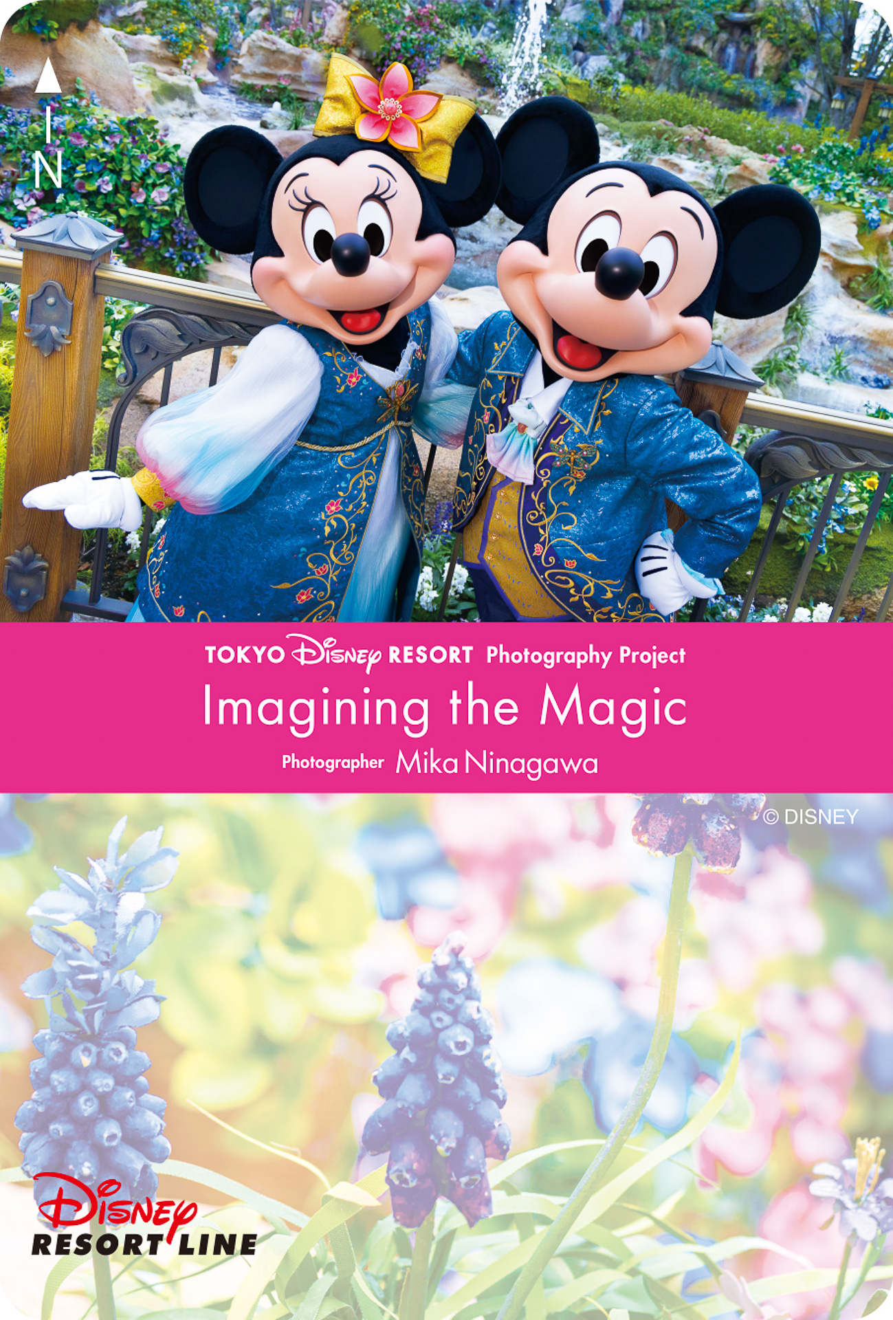 2025年11月27日～2026年3月5日