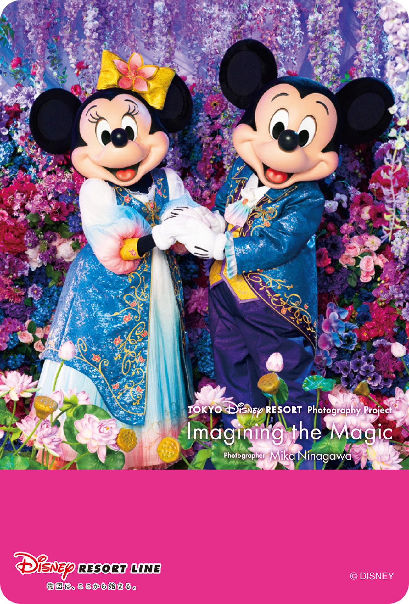 2026年3月6日～6月6日