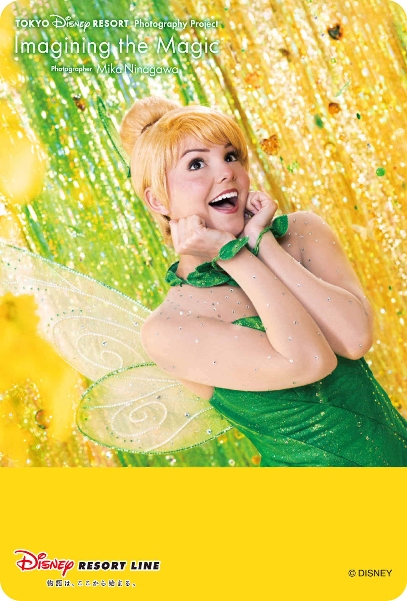 2026年3月6日～31日