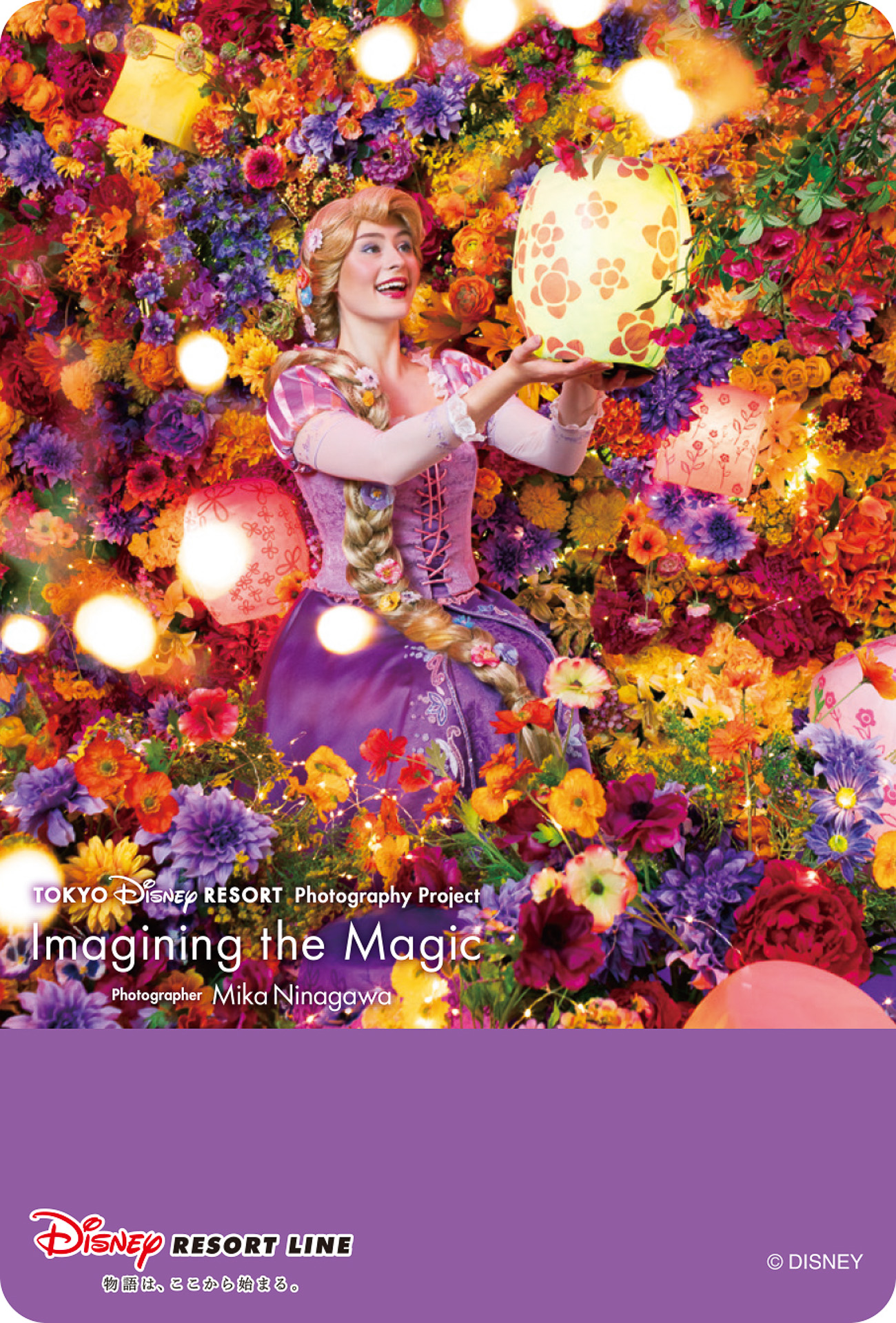 2026年4月23日～5月15日