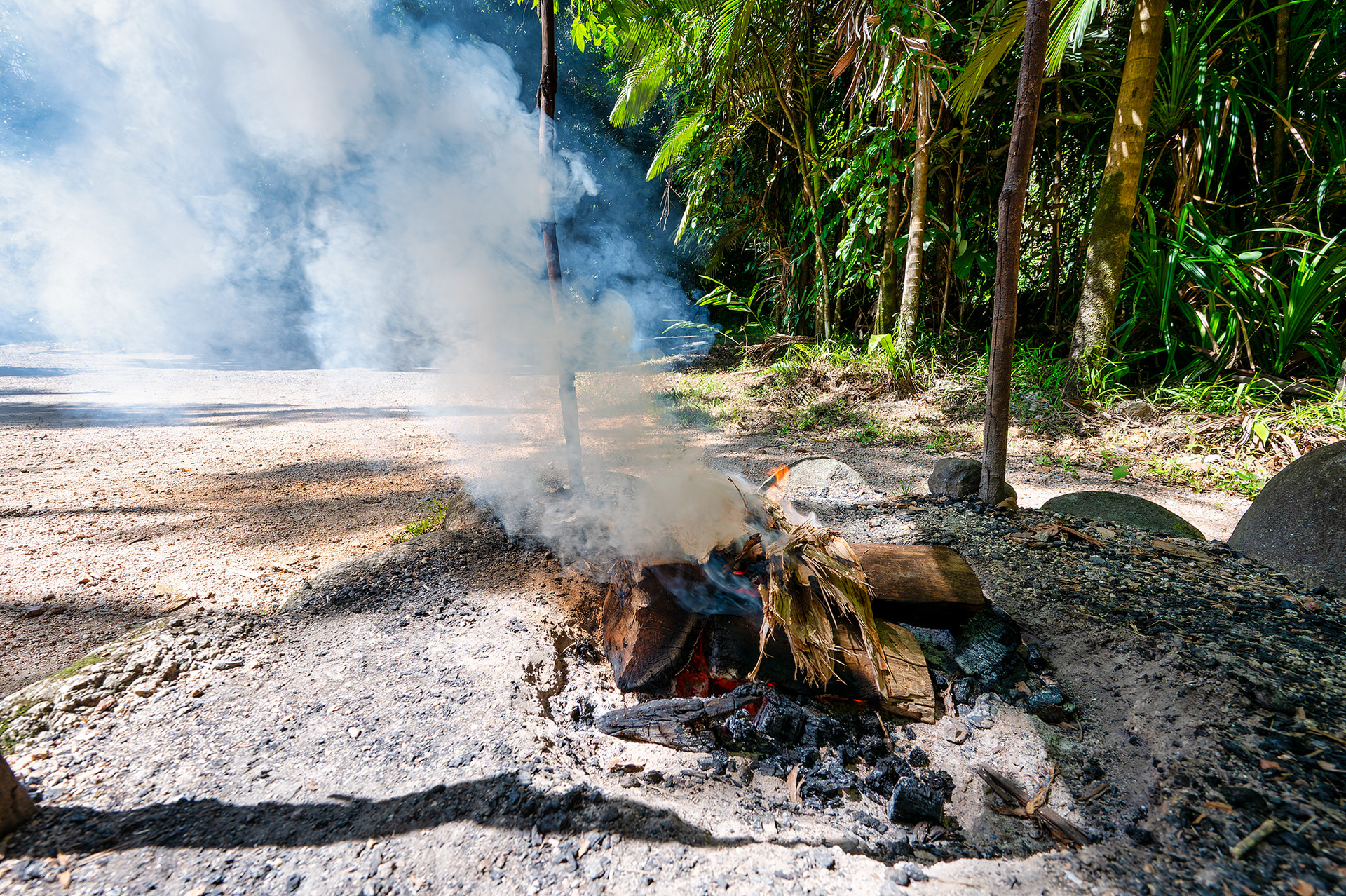 火を起こし、その煙で参加者の体から悪霊を払って、森へ入る準備をする