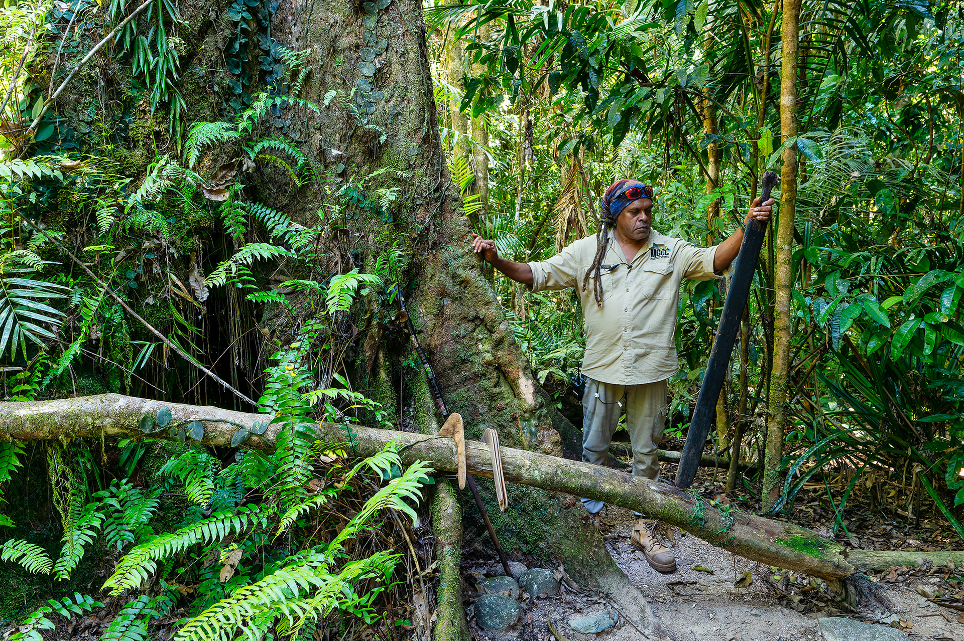 この大きな木の根っこを叩くと森中に響き渡り、存在は物事を伝えるメッセージにもなる。また、船のオールやブーメランなども制作されてきた
