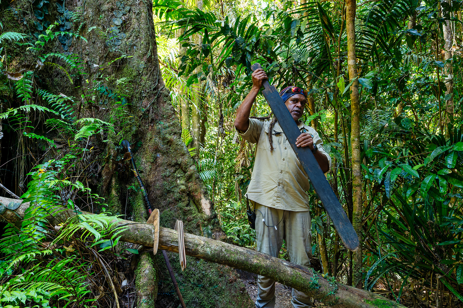 この大きな木の根っこを叩くと森中に響き渡り、存在は物事を伝えるメッセージにもなる。また、船のオールやブーメランなども制作されてきた